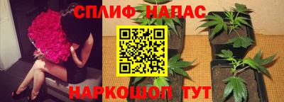 прущие грибы Лесосибирск