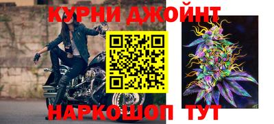 прущие грибы Лесосибирск
