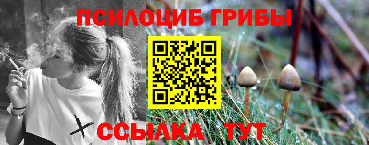 Псилоцибиновые грибы MAGIC MUSHROOMS  хочу   Тельмана  Вход с VPN 